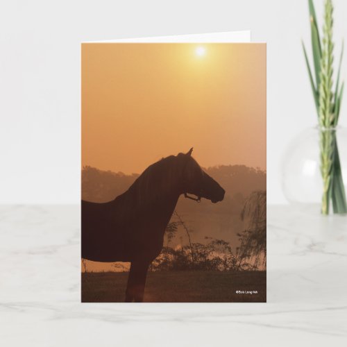 Bob Langrish  Rocky Mountain Horse Silhouette Card