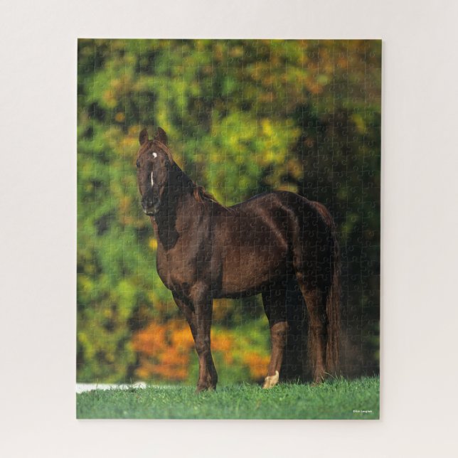 Bob Langrish Rocky Mountain Horse Standing Autumn Jigsaw Puzzle (Vertical)
