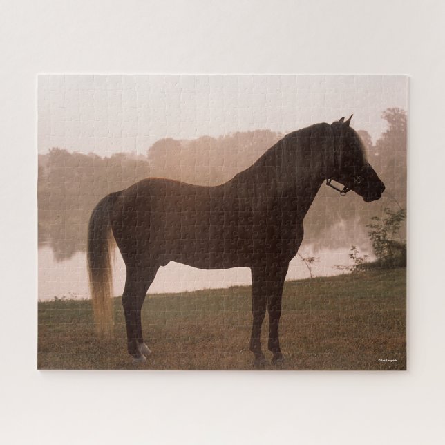 Bob Langrish Rocky Mountain Horse Standing Backlit Jigsaw Puzzle (Horizontal)