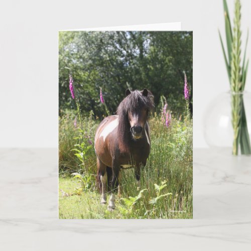 Bob Langrish  Shetland Pony Standing By Flowers Card