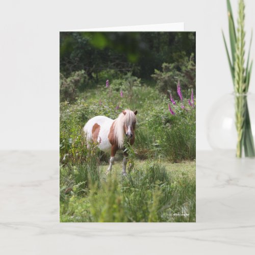 Bob Langrish  Shetland Pony Standing By Flowers Card