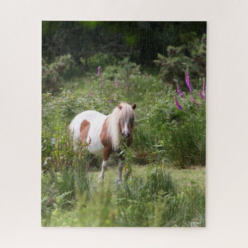 Bob Langrish  Shetland Pony Standing By Flowers Jigsaw Puzzle