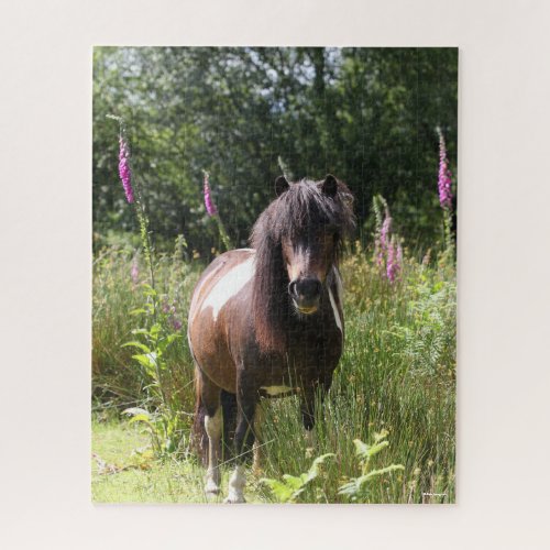 Bob Langrish  Shetland Pony Standing By Flowers Jigsaw Puzzle