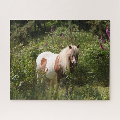 Bob Langrish  Shetland Pony Standing In Flowers Jigsaw Puzzle