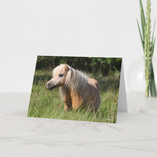 Bob Langrish Shetland Pony Standing in Long Grass Card (Front)