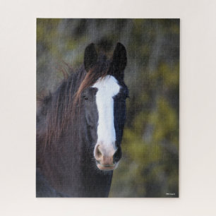 Bob Langrish Shire Horse Headshot Jigsaw Puzzle
