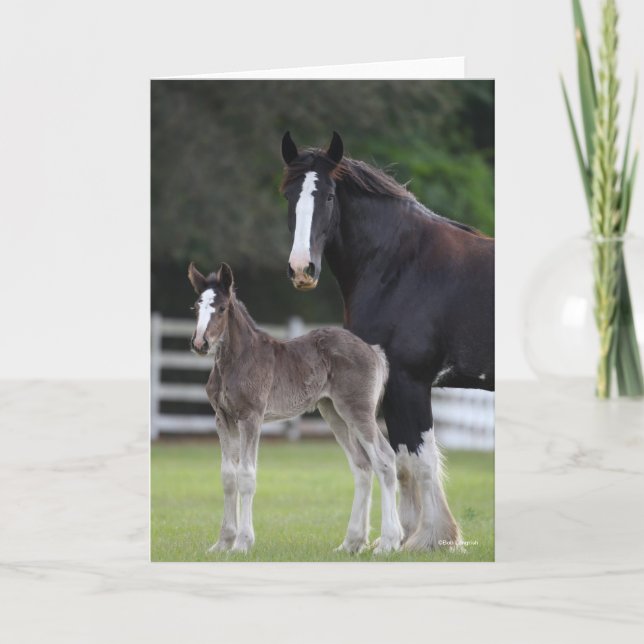 Bob Langrish | Shire Horse Mare and Foal Standing Card (Front)