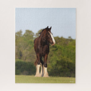 Bob Langrish Shire Horse Standing In Field Jigsaw Puzzle