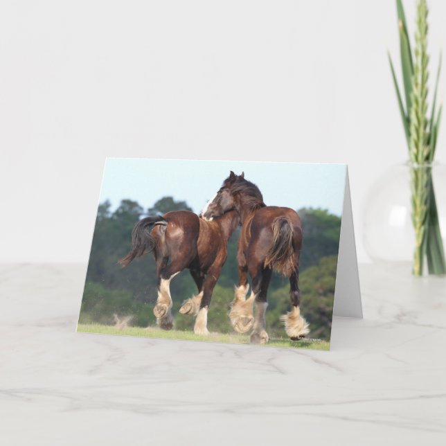 Bob Langrish | Shire Horses Running Rear View Card (Front)
