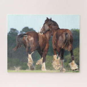 Bob Langrish Shire Horses Running Rear View Jigsaw Puzzle
