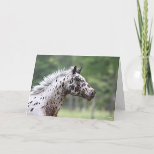 Bob Langrish   Spotty Knapstrupper Headshot Card