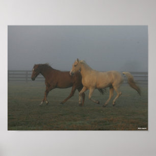 Bob Langrish Tennessee Walking Horses Running Poster
