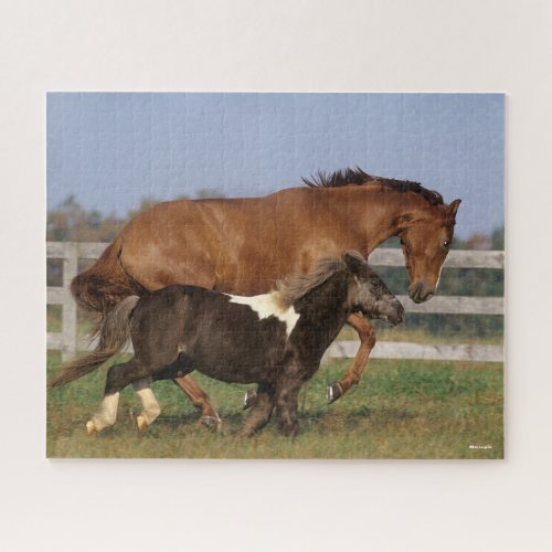 Bob Langrish  Thoroughbred and Shetland Pony Jigsaw Puzzle