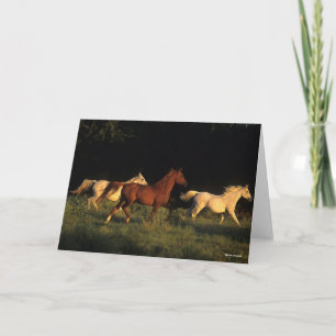 Bob Langrish Three Arabs Running In Evening Light Card