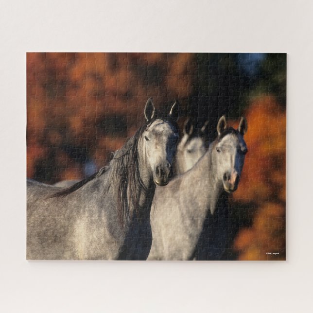 Bob Langrish | Three Gray Arabs Standing Together Jigsaw Puzzle (Horizontal)