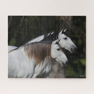 Bob Langrish   Two Andalucians Standing Together Jigsaw Puzzle