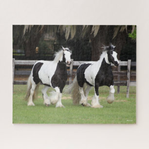 Bob Langrish   Two Black and White Gypsy Vanners Jigsaw Puzzle