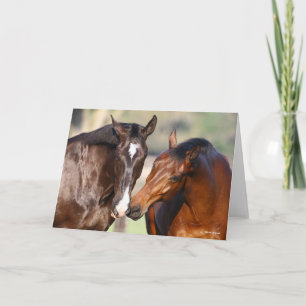 Bob Langrish Two Canadian Sport Horses Meeting Card