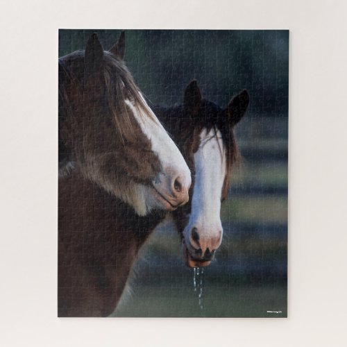 Bob Langrish  Two Clydesdale Horses Headshot Jigsaw Puzzle