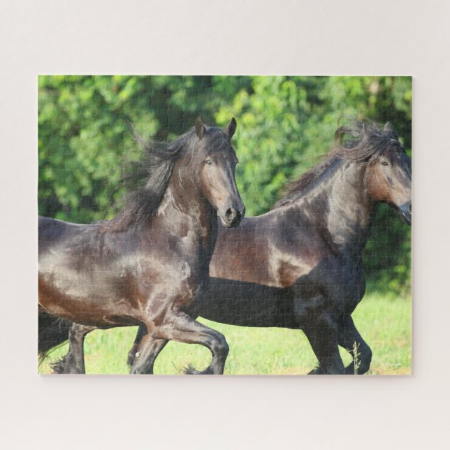 Bob Langrish | Two Friesians Running Together Jigsaw Puzzle (Horizontal)