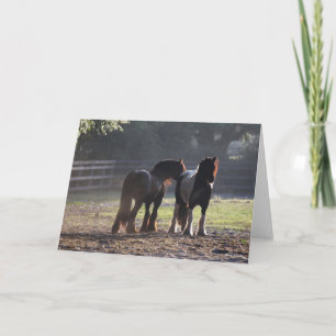 Bob Langrish   Two Gypsy Vanners In Field Backlit Card