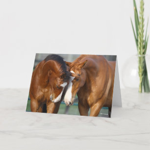 Bob Langrish Two Horses Heads Together Card
