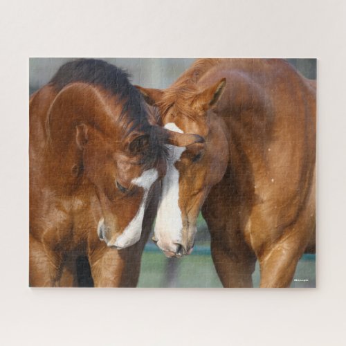 Bob Langrish  Two Horses Heads Together Jigsaw Puzzle