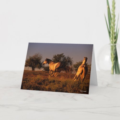 Bob Langrish  Two Horses Running In Sunset Card
