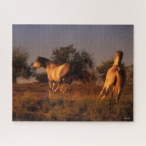 Bob Langrish  Two Horses Running In Sunset Jigsaw Puzzle