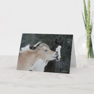 Bob Langrish Two Ponies Meeting In Snow headshot Card