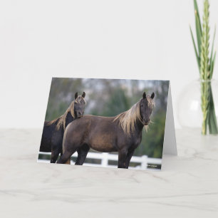 Bob Langrish Two Rocky Mountain Horses Standing Card