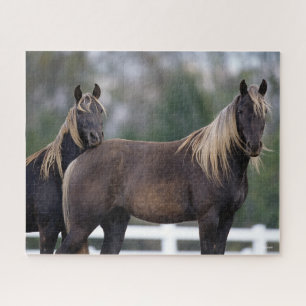 Bob Langrish Two Rocky Mountain Horses Standing Jigsaw Puzzle