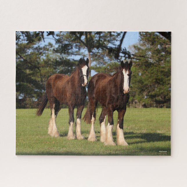 Bob Langrish | Two Shire Horse Youngsters Standing Jigsaw Puzzle (Horizontal)