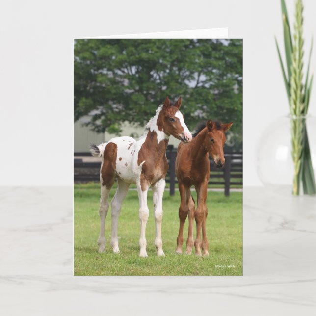Bob Langrish | Two Sport Horse Foals Standing Card (Front)