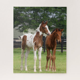 Bob Langrish Two Sport Horse Foals Standing Jigsaw Puzzle