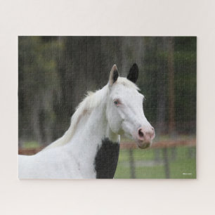 Bob Langrish Warmblood Pinto Horse Headshot Jigsaw Puzzle