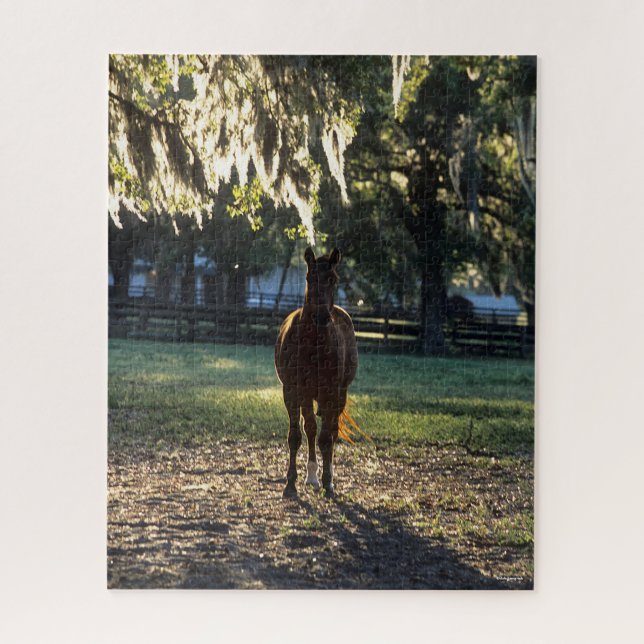 Bob Langrish | Warmblood Standing Backlit Jigsaw Puzzle (Vertical)