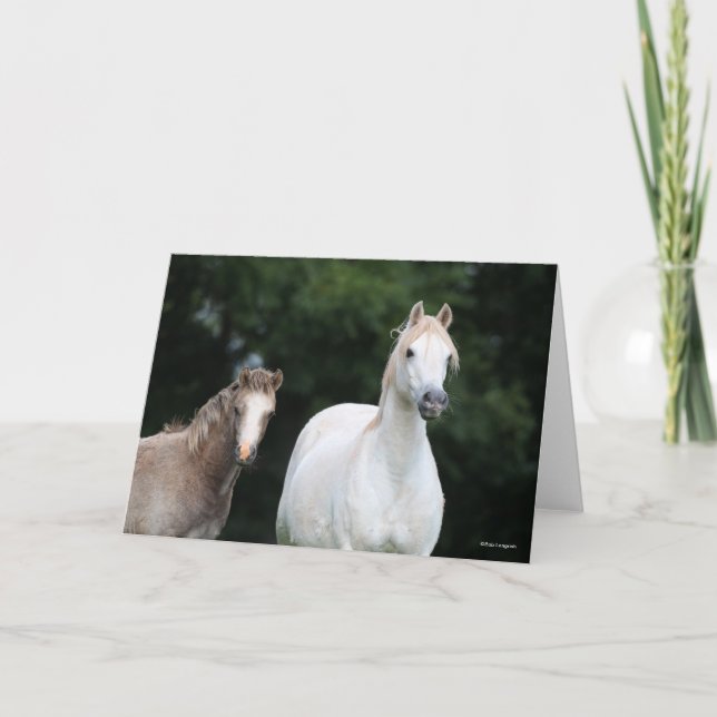 Bob Langrish | Welsh Pony Mare and Foal Card (Front)