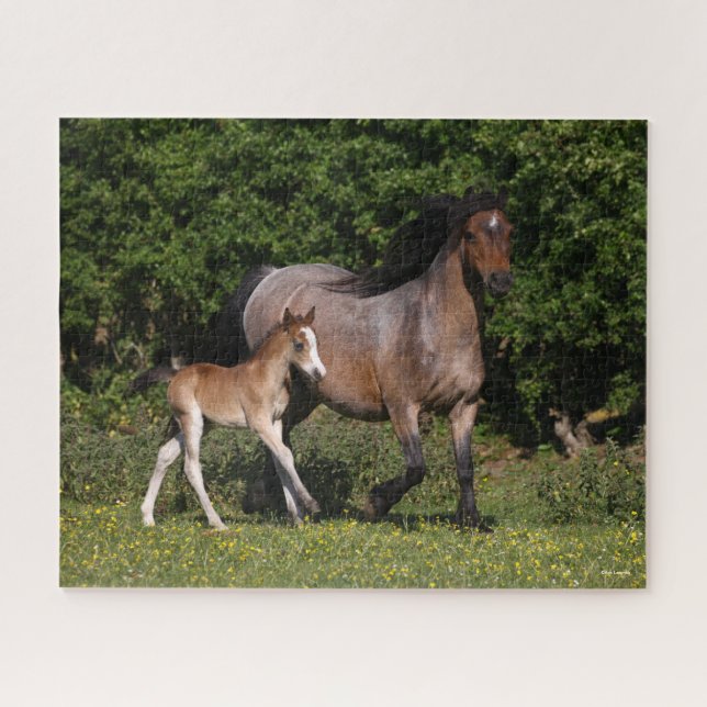 Bob Langrish | Welsh Pony Mare and Foal Running Jigsaw Puzzle (Horizontal)
