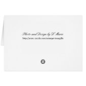 Bob Spinn'in a Yarn Card (Back Horizontal)