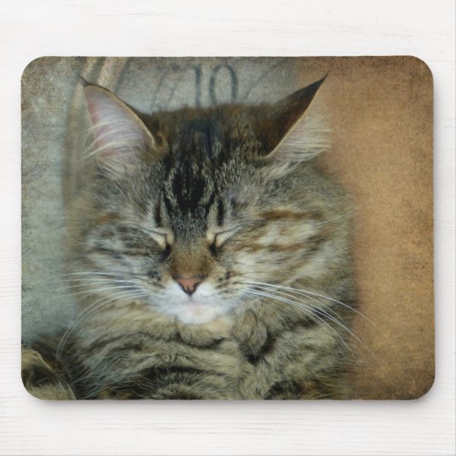 Bob the Cat Mouse Pad (Front)