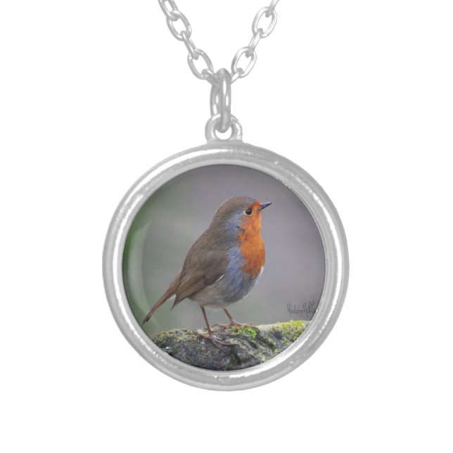 Bobbin the robin silver plated necklace (Front)