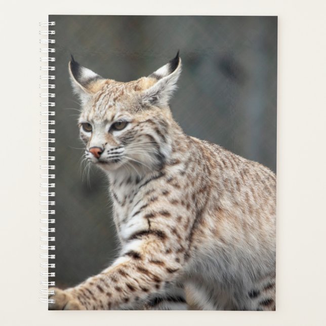 Bobcat 2026 Planner | Lakota Wolf Preserve (Front)