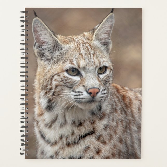 Bobcat 2026 Planner | Lakota Wolf Preserve (Front)