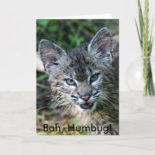 BobCat, Bah, Humbug! Holiday Card