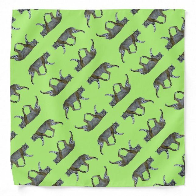 Bobcat Bandana (Front)