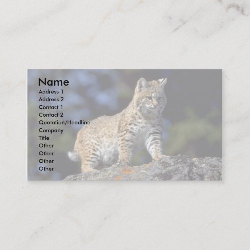 Bobcat Business Cards
