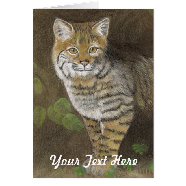 Bobcat Cards (Front)