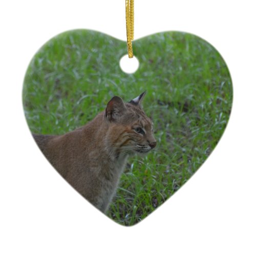 Bobcat Ceramic Ornament