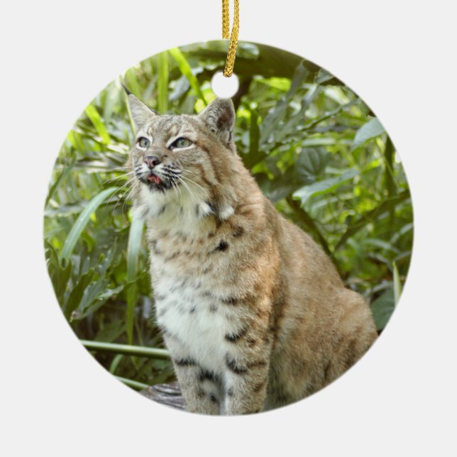 Bobcat Christmas Ornament (Front)